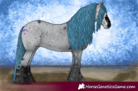 Horse Color:ERROR: UNKNOWN ANOMALY