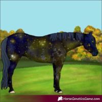 Horse Color:ERROR: UNKNOWN ANOMALY