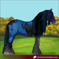 Horse Color:ERROR: UNKNOWN ANOMALY