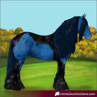 Horse Color:ERROR: UNKNOWN ANOMALY