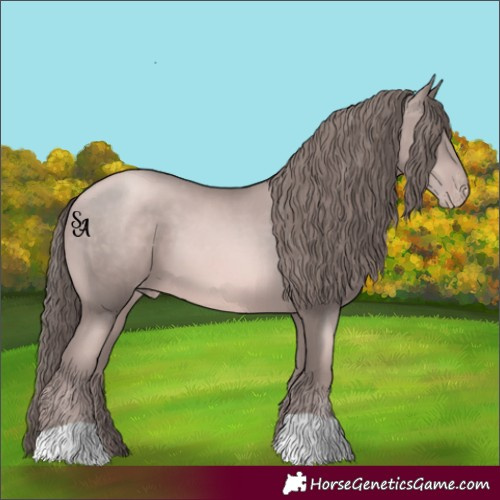 Horse Color:Platinum Liver Chestnut Pearl Appaloosa 