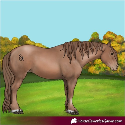 Horse Color:Black Pearl 