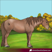 Horse Color:Black Pearl 