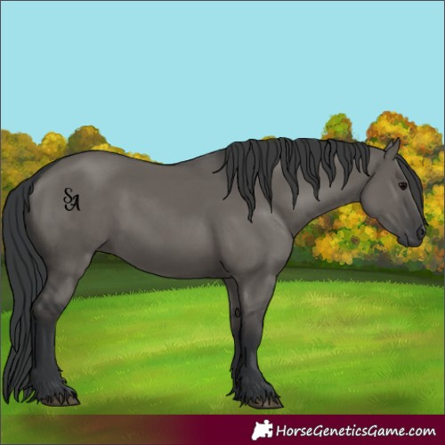 Horse Color:Platinum Grullo