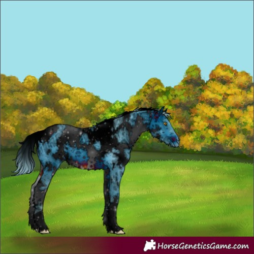 Horse Color:ERROR: UNKNOWN ANOMALY