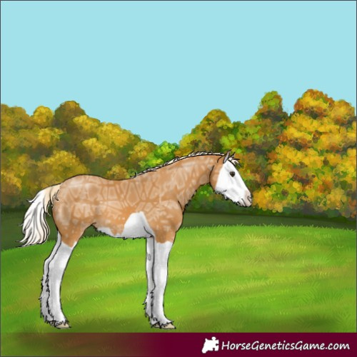 Horse Color:Palomino Ice Splash