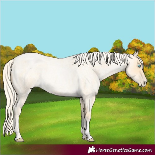 Horse Color:Palomino Roan Pearl and Palomino Roan Pearl