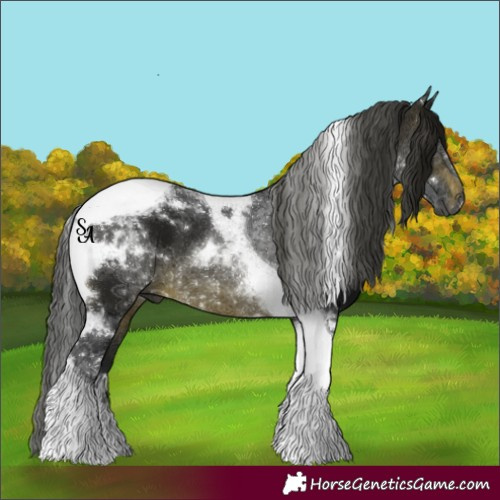 Horse Color:Gray Brown Tobiano 