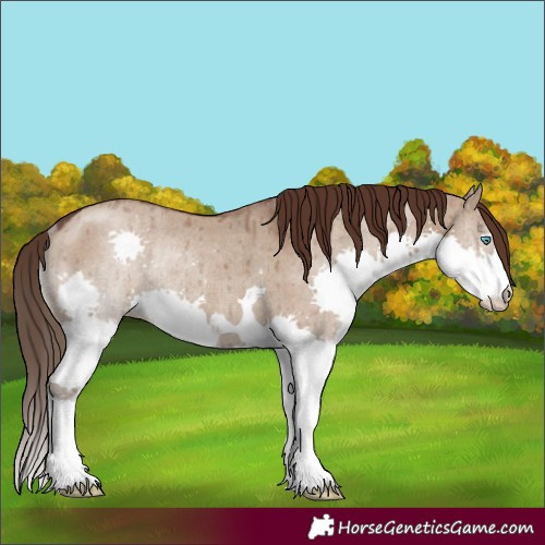 Horse Color:Liver Red Dun Splash Rabicano Brindle 