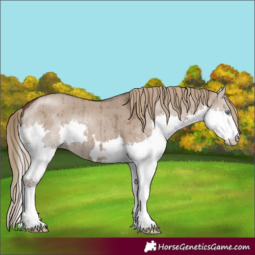 Horse Color:Liver Red Dun Splash Brindle 