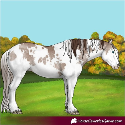 Horse Color:White Spotted Liver Red Dun Splash Rabicano Brindle 