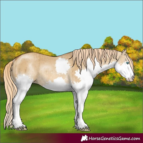 Horse Color:Chocolate Palomino Dun Splash Rabicano Brindle 