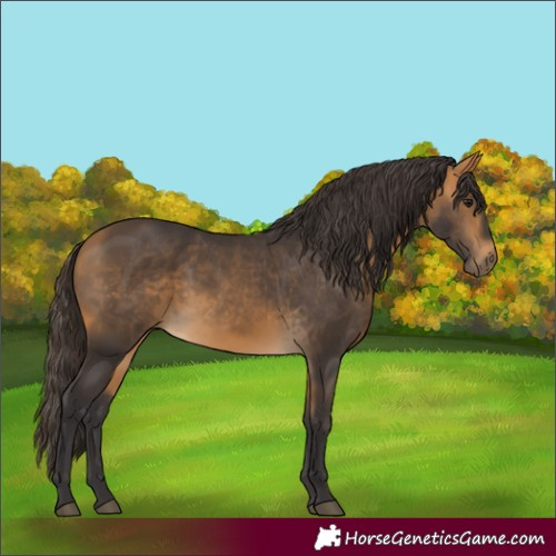 Horse Color:Buckskin