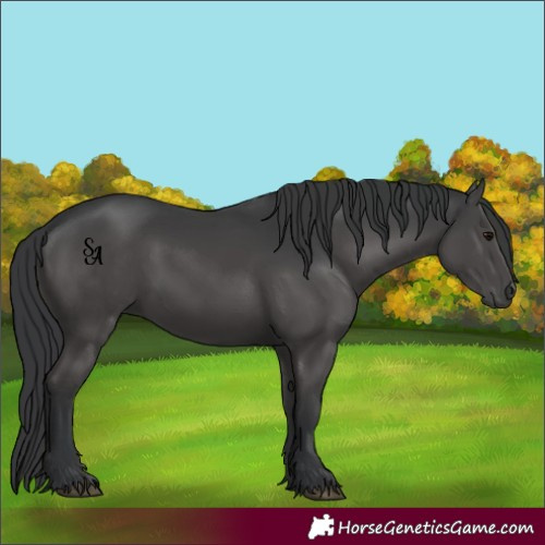 Horse Color:White Spotted Black Mushroom 