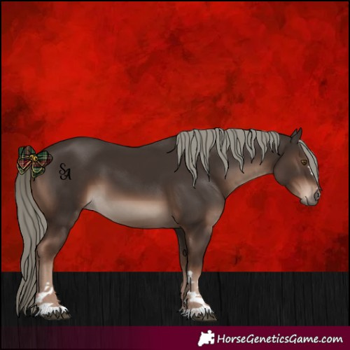 Horse Color:Liver Chestnut Mushroom 