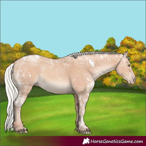 Horse Color:White Spotted Silver Amber Champagne Ice Rabicano