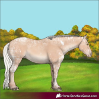 Horse Color:White Spotted Silver Amber Champagne Ice Rabicano 