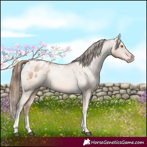 Horse Color:White Spotted Liver Red Dun Pearl Tobiano Varnish 
