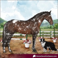 Horse Color:White Spotted Liver Chestnut Snowflake Varnish 