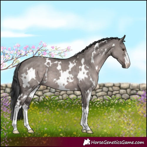 Horse Color:Platinum White Spotted Liver Red Dun 