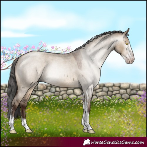Horse Color:Gray Sable Champagne Roan Dun Sabino Varnish 