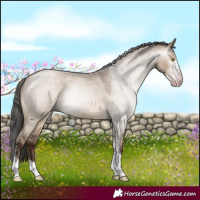 Horse Color:Gray Sable Champagne Roan Dun Sabino Varnish 