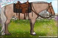 Horse Color:Silver Bay Roan 