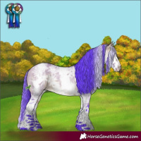 Horse Color:Watercolor White Spotted Bay Ice Dun