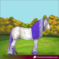 Horse Color:Watercolor White Spotted Bay Ice Dun 