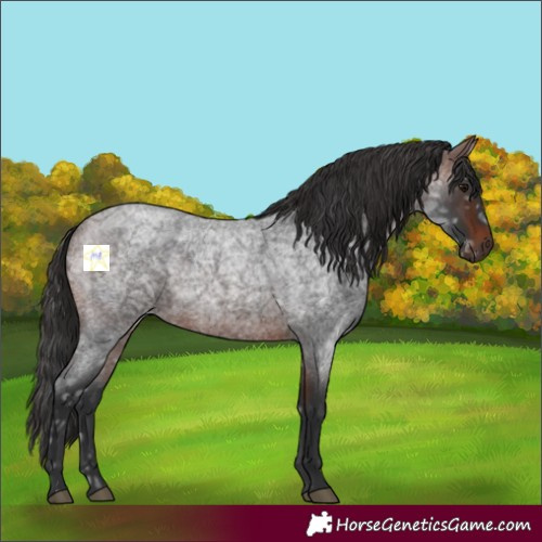 Horse Color:Brown Ice Roan 
