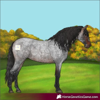 Horse Color:Brown Ice Roan 
