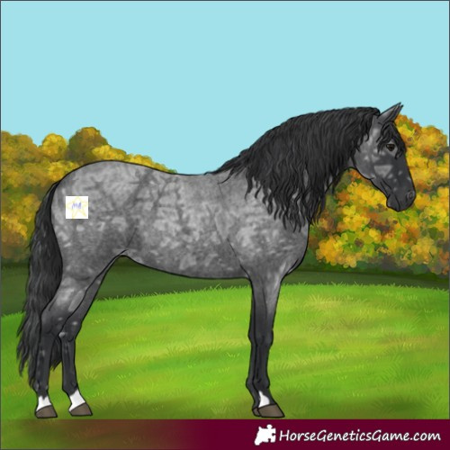 Horse Color:Blue Ice Roan 