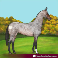 Horse Color:Brown Ice Roan