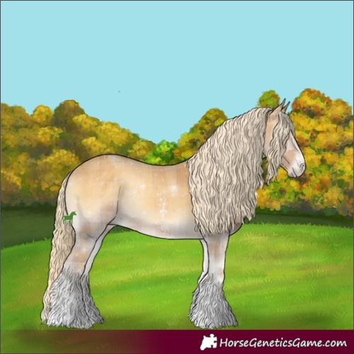 Horse Color:Plaid Palomino Onyx Sabino Rabicano