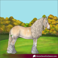 Horse Color:Plaid  Palomino Onyx Sabino Rabicano 