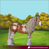 Horse Color:Painted Chestnut Ice Splash Rabicano 
