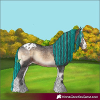 Horse Color:Painted Brown Onyx Sabino Tobiano Appaloosa