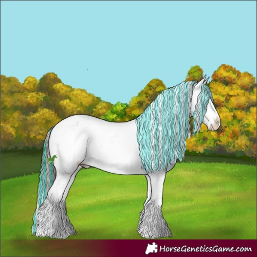 Horse Color:Painted White Spotted Brown Sabino Splash Appaloosa 