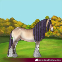Horse Color:Painted Bay Onyx Tobiano 