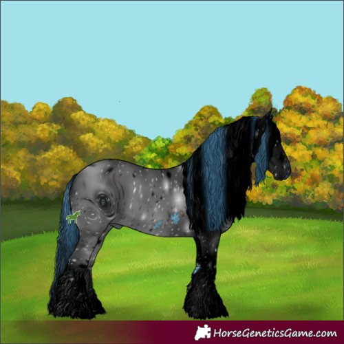 Horse Color:ERROR: UNKNOWN ANOMALY