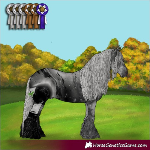 Horse Color:ERROR: UNKNOWN ANOMALY