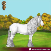 Horse Color:Liver Red Onyx Mushroom Sabino
