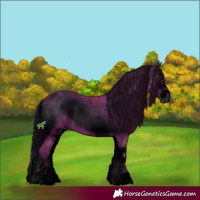 Horse Color:ERROR: UNKNOWN ANOMALY