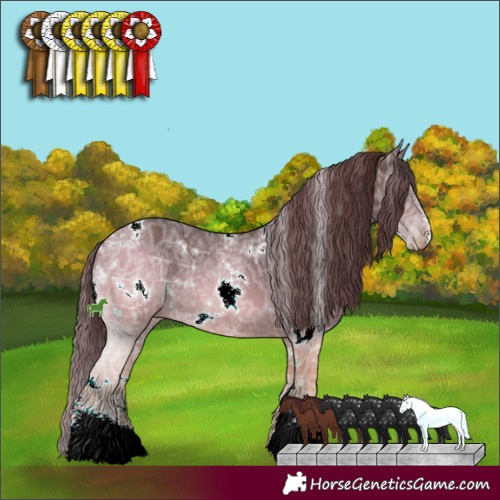 Horse Color:White Spotted Chocolate Black Chinchilla Ice Sabino 