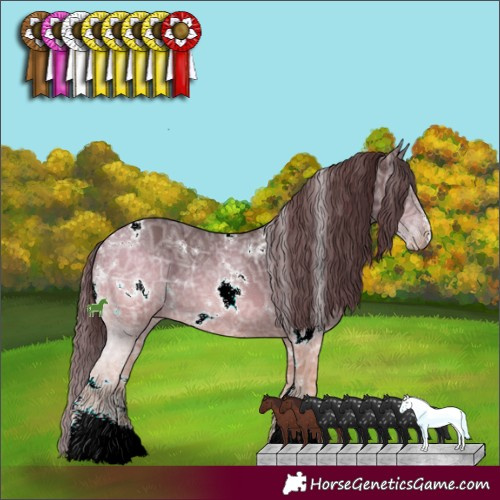 Horse Color:White Spotted Chocolate Black Chinchilla Ice Sabino 