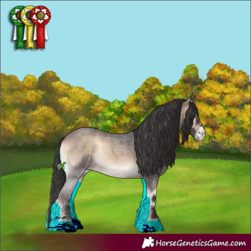 Horse Color:Brown Roan Onyx Sabino 