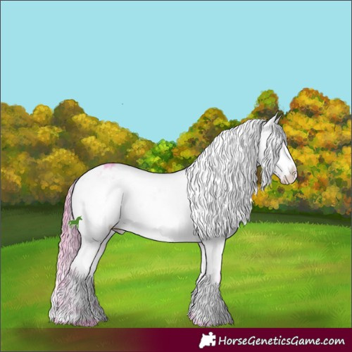 Horse Color:Watercolor White Spotted Buckskin Ice Appaloosa 