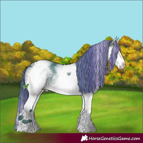 Horse Color:Painted Watercolor White Spotted Brown Splash Rabicano 