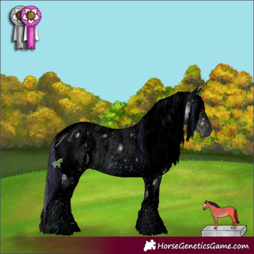 Horse Color:ERROR: UNKNOWN ANOMALY