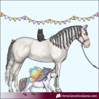 Horse Color:Palomino Roan Pearl  and Palomino Roan Pearl 